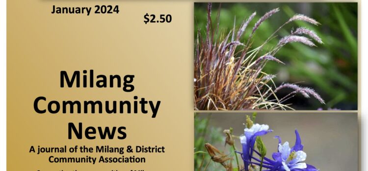 Milang Community News: January 2024
