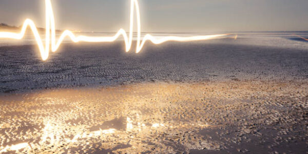 Poet’s Corner – January 2026